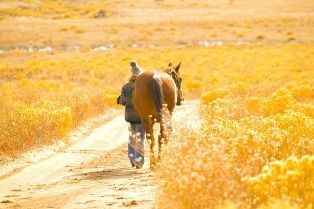 Led where you don't want to go