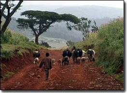 We’re back from Swaziland – a report