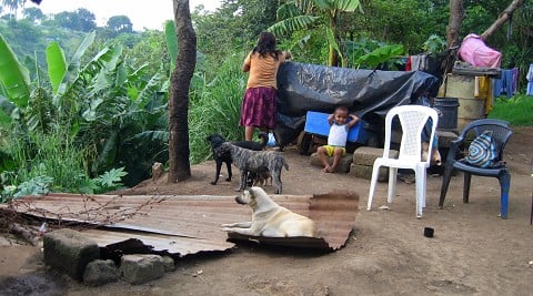 Following up on your short-term trip