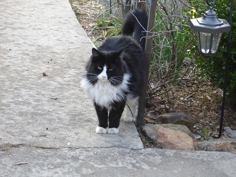 You were made for his presence