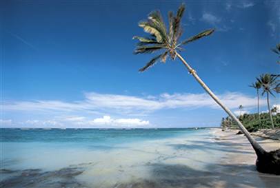 Find what gives you life