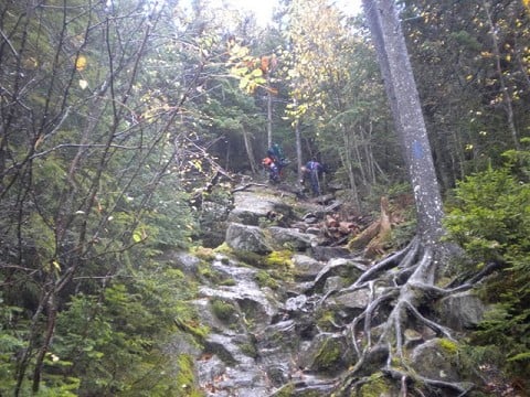 7 Kingdom dreaming principles