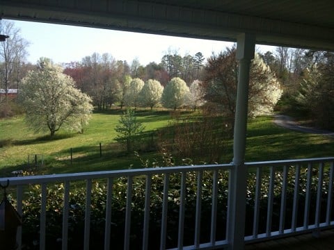 Easter: How Jesus ministers to our humanity