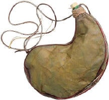 All churches need wineskins