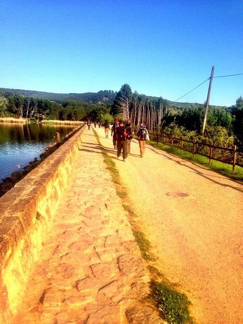 Camino Culture