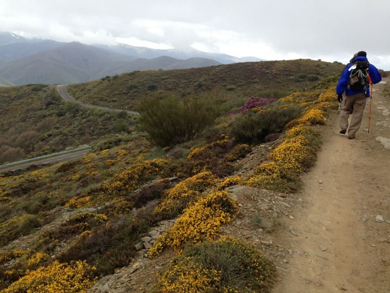 Debriefing Your Life