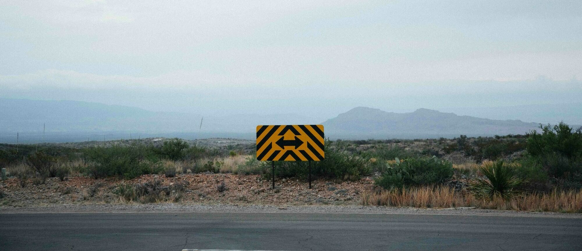 If You Knew of a Cure for Covid, Would You Share It?